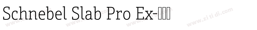 Schnebel Slab Pro Ex字体转换 Schnebel Slab Pro Ex字体转换